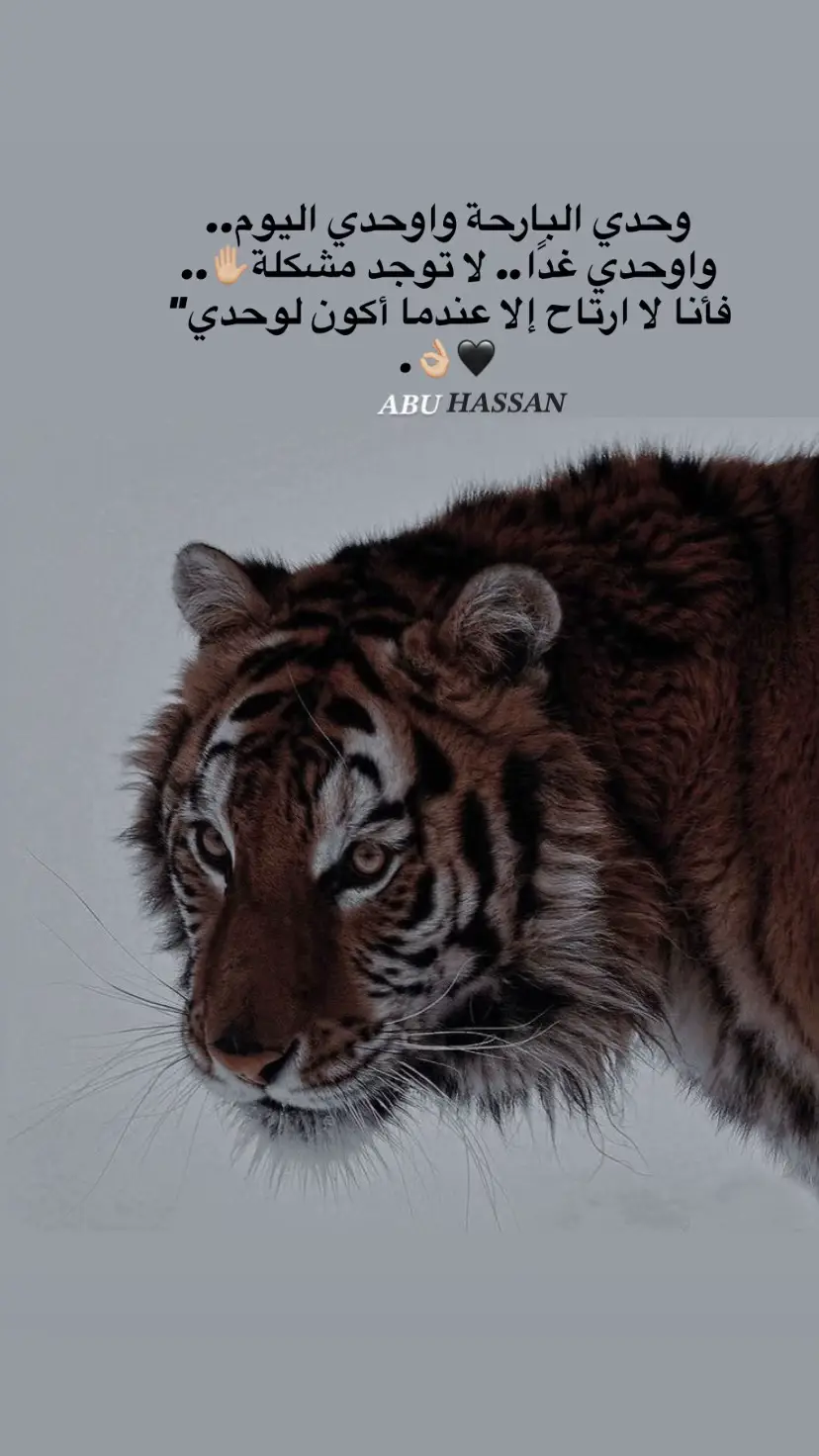 #عبارات #فوريو #اب_الحسن🖤📿 