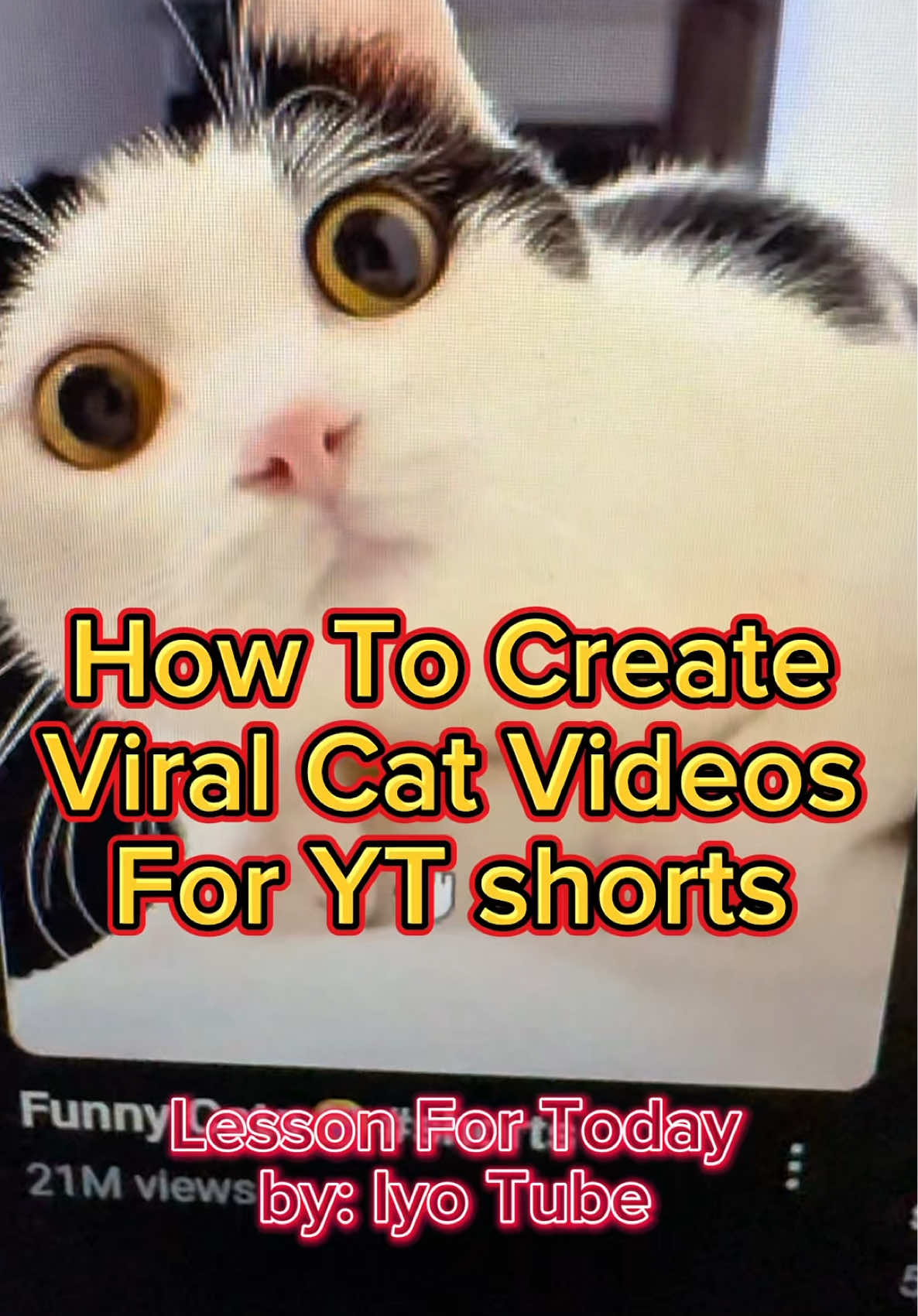 Cat Videos Ang Isa Sa Mga Pinaka Sakalam Na Niche Sa YT Shorts ✨Lesson For Today✨ #youtube #youtubeautomation #youtubeshorts #ytshorts #yta #iyotube #cat #catniche 