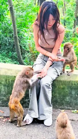 #Tatcha #tiktok #monkey #foryou 