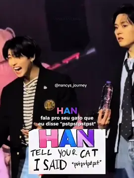 entendeu que o gato dele é o lee know mas não entendeu o que era pra dizer #minsung #leeknow #hanjisung #straykids #skz #minsungirl #minsungedit