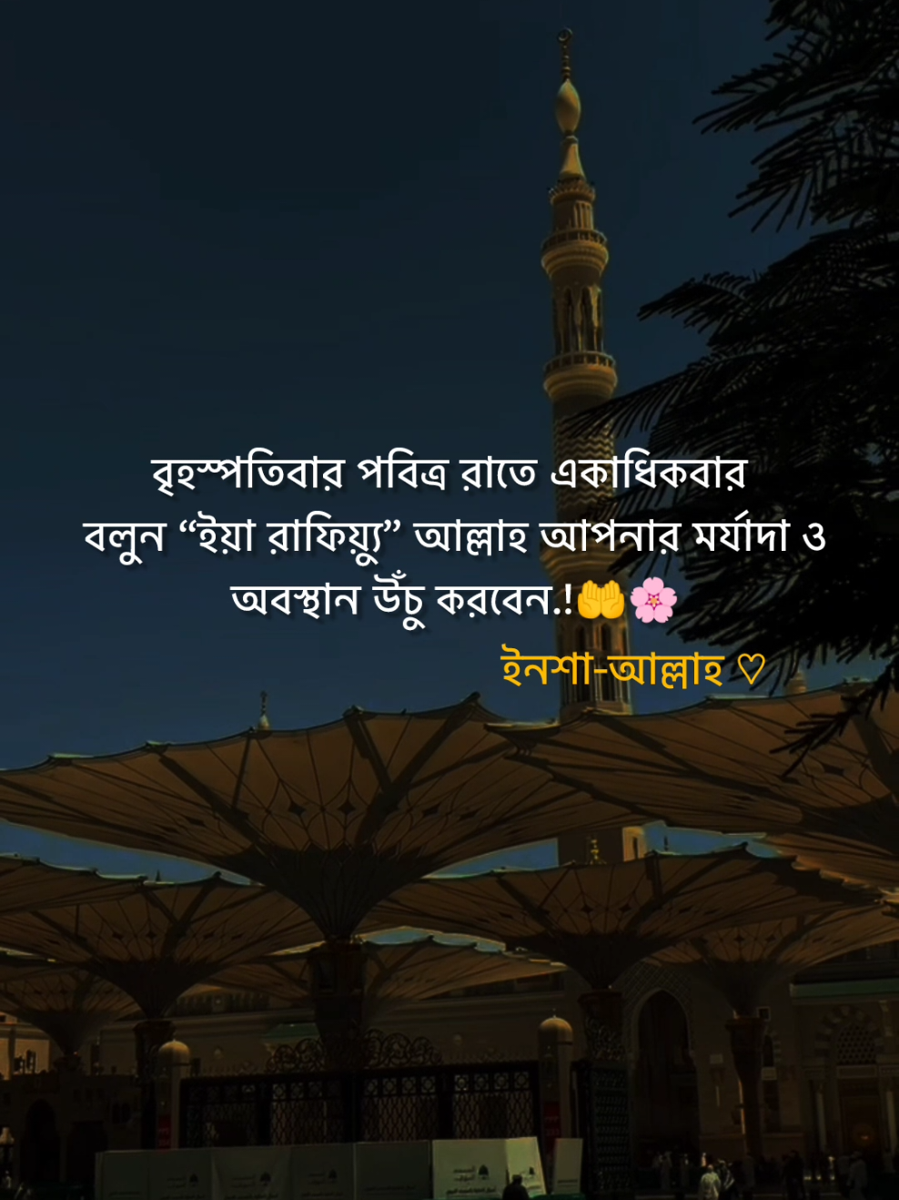 বৃহস্পতিবার পবিত্র রাতে একাধিকবার বলুন “ইয়া রাফিয়্যু” আল্লাহ আপনার মর্যাদা ও অবস্থান উঁচু করবেন.! 🤲🌸  #flypシ #foryou #foryoupage 