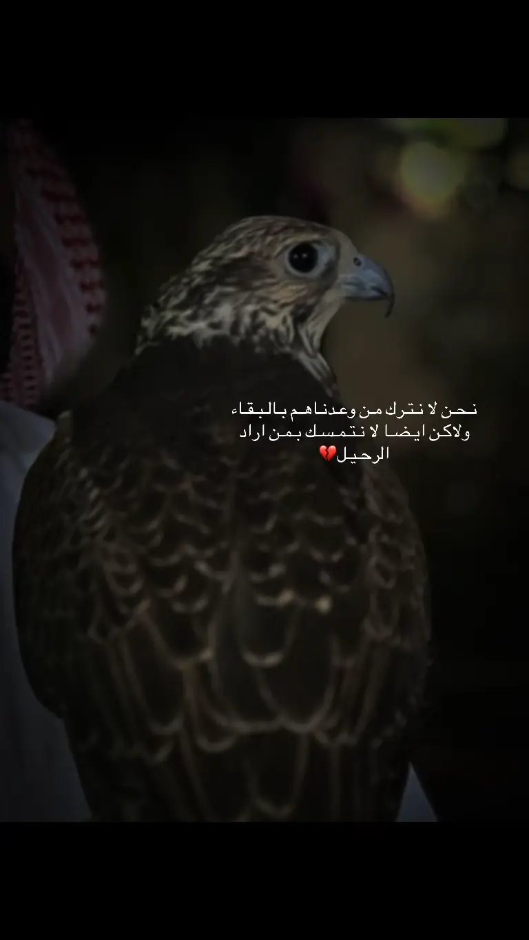 نـحـن لا نـتـرك مـن وعـدنـاهـم بـالـبـقـاء ولاكـن ايـضـا لا نـتـمـسـك بـمـن اراد الرحـيـل💔