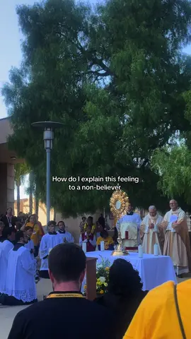 His true presence is in the Eucharist 🙏🏼🤍 #Jesuslovesyou #Jesus #jesusteama #catholic #eucharist #eucaristia #catholictiktok #fy #explore #faith #catolico #prayer #eucharisticrevival #catholicchurch #catholicsoftiktok #catholicism #catholicfaith #catholictok 