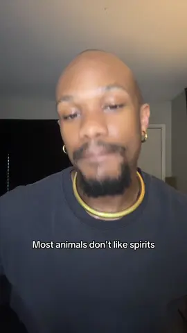It’s a shared theory. They hate each other, but not all #spirits #animals #feud 
