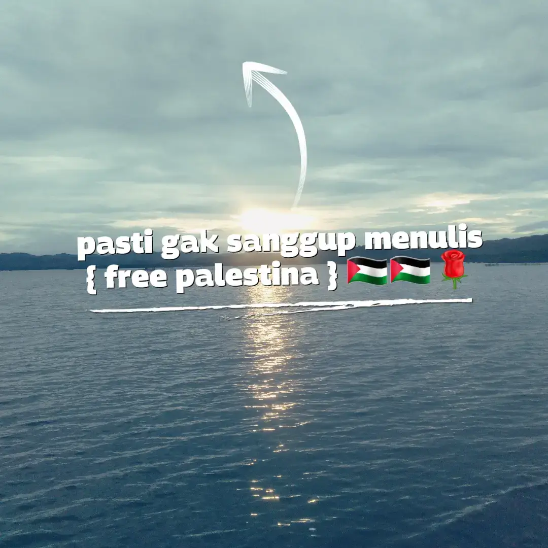 #bismillahfypp #freepalestine🇵🇸❤️ #indonesia🇮🇩 #fyppppp 