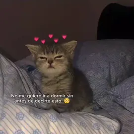 <3 😻❤️‍🩹✨ #teamo ❤️‍🩹📈#paradedicar ✨#paratiiiiiiiiiiiiiiiiiiiiiiiiiiiiiii #fypp #feliznoche 🌃