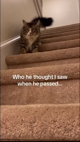 I miss him sm #petloss