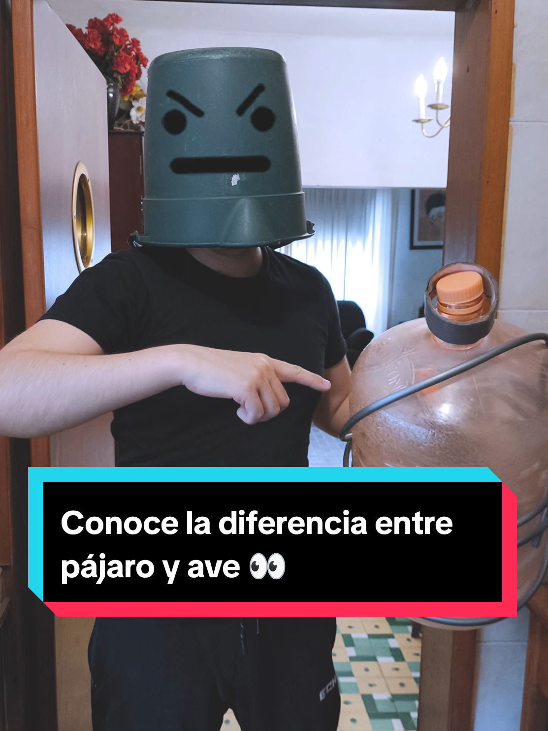 Conoce la diferencia entre pájaro y ave. 👀  @Biología Desde Cero  #español #lenguaje #linguistica 
