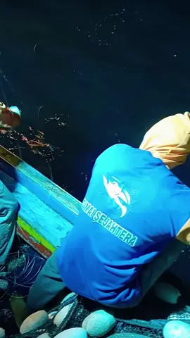 #CapCut #mancing #mancingmania #nelayan #nelayanindonesia #bawean #baweanisland #baweantiktok #pulaubawean #nelayanbawean #fyp 