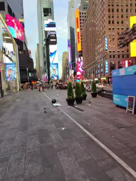 #outsidewithnthn2do #humor #capcut #newyork #tiktok #viral #lebron 