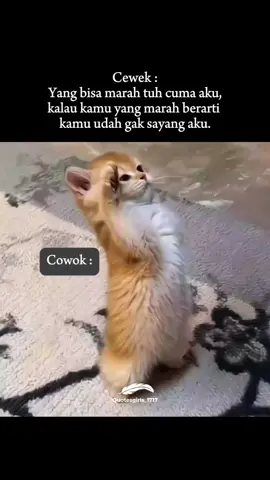 hayooo  #memes #fypシ゚ 