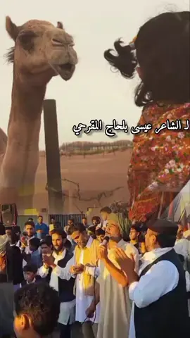 لـ الشاعر عيسى بلحاج المقرحي #متابعة_لايك_اكسبلور  #الباصور_افراح_المقارحه_ #اكسبلور  #شعراء_وذواقين_الشعر_الشعبي#متابعه  #شعراء_وذواقين_الشعر_الشعبي🎸 #الشاعر_عيسى_بلحاج #اكسبلو #تصميمي #تصميم_فيديوهات🎶🎤🎬  #الشاعر_محمد_بلحاج_المقرحي #ديوانيه  #الشاعر_علي_بلحاج_العزومي_المقرحي   #الشويرف💛 #الشويرف_المقارحه #سبها_ليبيا_الجنوب_الليبي  # #دكتور_الباديه_دكام_علي_دكام_المقرحي #مقارحه💚✖️💚✌🏻 #ليبيا # #المزاريع✖💚✖ #مزاريع_ياكبدي_🔥🦅 #ياكاف_يامقرحي _ #سبهتنا♥️🥀🥀 #ليبيا🇱🇾 #الابل_عطايا_الله #الابل_عظام_المال_  #الابل_عطايا_الله_عشاق_البداوة_🐪😍 