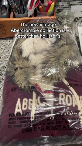 @abercrombie you better not disappoint us. Go ahead and DO WHAT Hollister IS DOING.. #fyp #fashion #fashiontiktok #fashiontiktok #fashioninspo #fashionhacks #fashion101 #vintage #vintagefashion #vintagevibes #vintagestyle #vintageclothes #vintagefinds #vintageonly #bringitback #clothingbrand #foryoupageofficiall #fy #xy #xybca #xybzca #xyzabc #style #stylesnap #00s #00snostalgia #2000s #2000sthrowback #2000snostalgia #throwback #trending #trendingvideo #trendingsound #new #newsound #jail #jailtok #hollister #hollisterco #abercrombie @hollister #y2k #y2kaesthetic #y2kfashion #y2knostalgia #y2kstyle #y2koutfits 