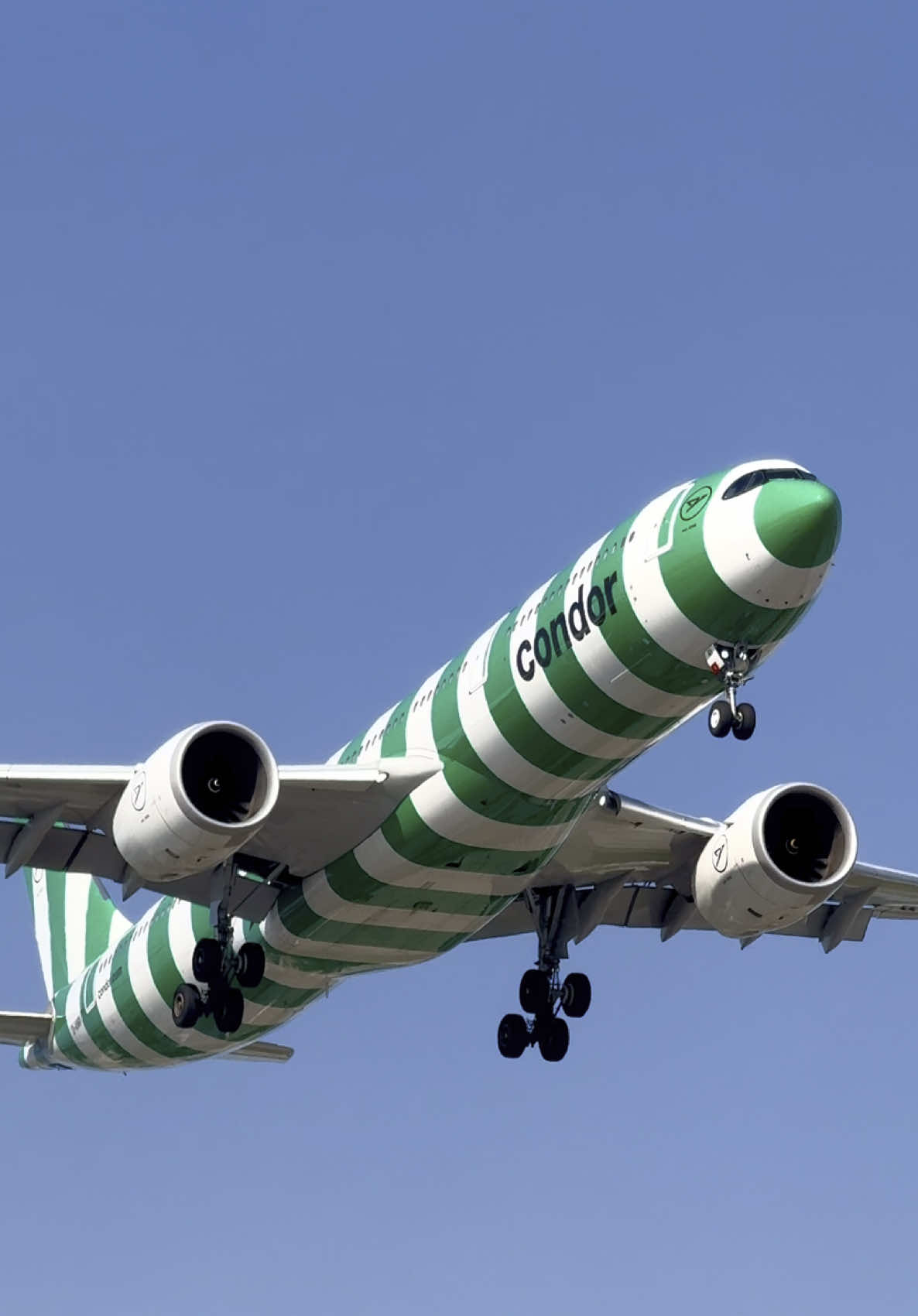 The Green Candy Cane | Condor Airbus A330-941N | Reg: D-ANRI On Final Approach Runway 24L #fy #fyp #photography #planes #condor #airbus #a330_941neo #beautiful #finalapproach #runway24l #toronto #pearsonairport #canada #cyyz #planespotter #iphone15promax #tyforthesupport @Raunak Spots @Boeing 777-F @D-ABTK @plane spotter yyz @Raunak @AVIATION_YYZ_SPOTTER @✈️Aviation_YYZ✈️ @(A6-EEQ) ✈ @🧑🏽‍🦯 @AC_YYZ🛩️ @AIRLINE AVIATION @Amin @amir @AndrewAvi✈️ @Angus @costadineth @cytrspotter @𝒟 ᥫ᭡ @Dailydoseofaviation3 @FLYYZ Aviation -Iraqī at soul @jayden_ Aviation @Marco D. Ceballos @marcospotsplanes_ @milkis @THESPOTTER @yqq_photography @yul.spots @YYZ-Spots🇨🇦 @ZN 📸 @Ꮧ 