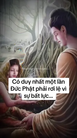 #CapCut Ngài nhận ra thế gian sẽ khổ đau bởi không thể phân biệt được chánh tà#phatphapnhiemmau #nammoadidaphat #xuhuongtiktok 