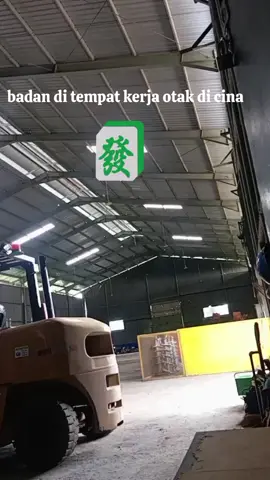 #mahjong 