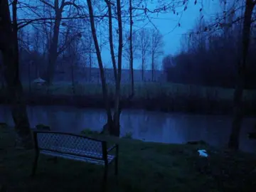 в одиночестве | #fyp #song #lyrics #футаж #щп #текстпесни #qwil1t