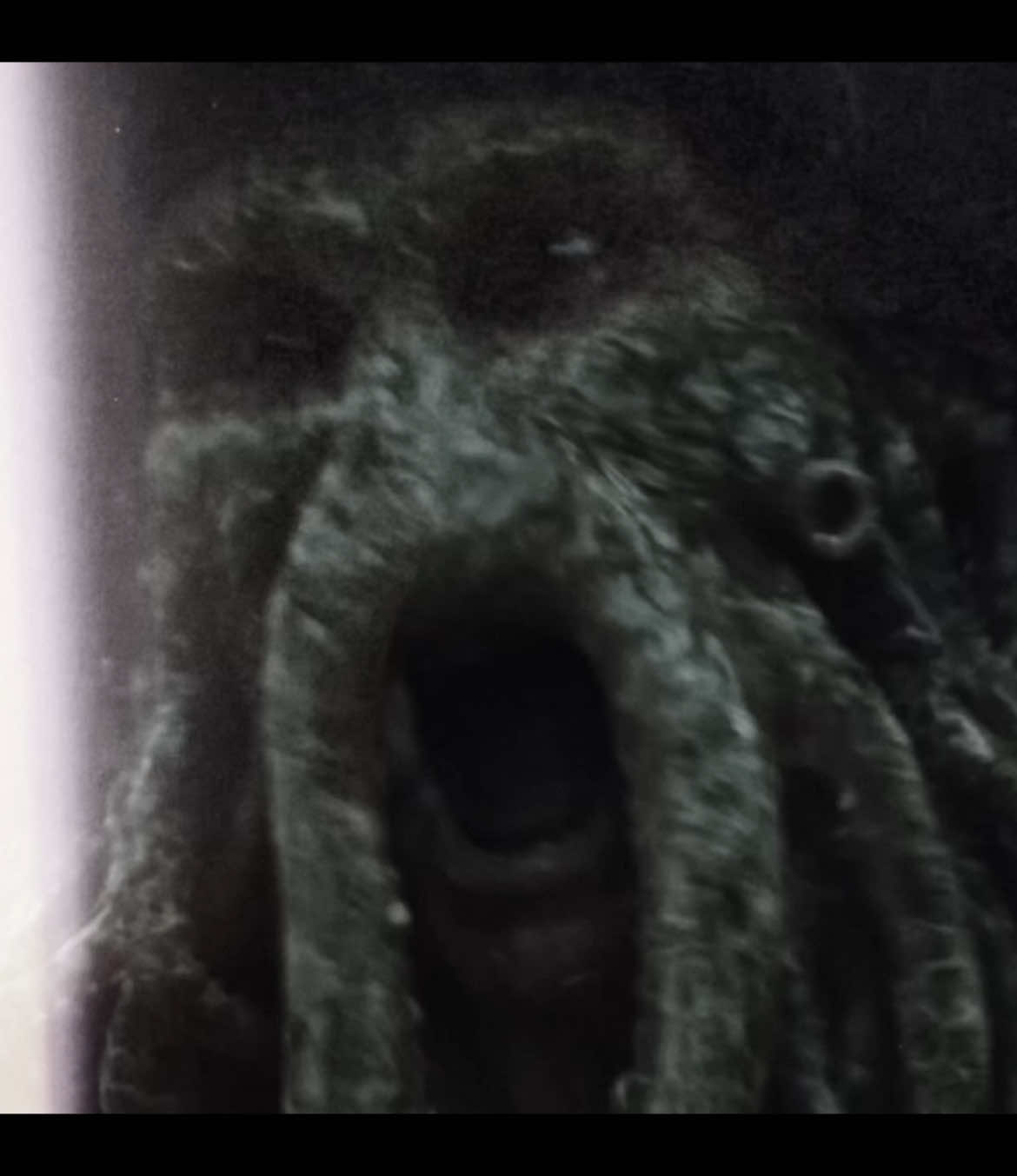 Top 1 villain oat #davyjones #davyjonesedit #piratesofthecaribbean #piratesofthecaribbeanedit #potc #deadmanschestedit #grain #abstract #style 