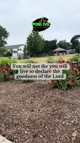 🌺 You will not die you will live to declare the goodness of the Lord🌺#Dailylife #pray #peace #Love #fyp #jesuslovesyou #christiantiktok 