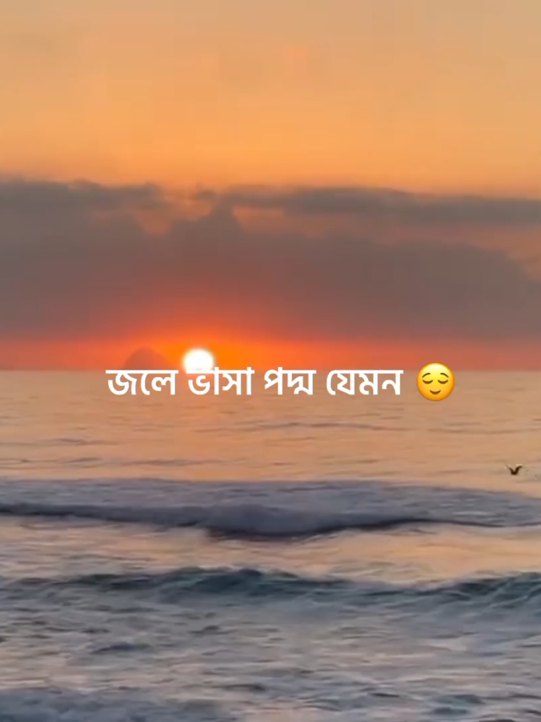 অভিমান জমে জমে আমি ব্যথা হীন,,,! 😅❤️‍🩹 . . #lyrics_songs #feelthissong #unfreezemyacount #viralvideo #lyric_sohan_7 @For You House ⍟ @TikTok Bangladesh 