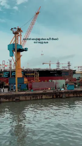 Dock yard 🤍 #colomboport⚓️🇱🇰 #creatorsearchinsights #bimsarakularathna #foryou #