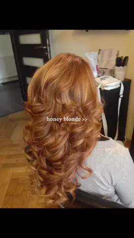🍯||#honeybrown #hair #highlights #hairdye #honeybrownhair #blackwomen #fyp #viral #fypシ #honey 