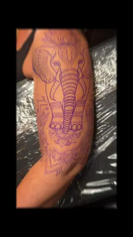 Elephant Mandala Sleeve Started!  #tattoo #mandala #elephant #fyp #foryou #viral 