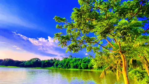 পাখির ডাক, মেঘের ভেলা আর নদীর সুর—সব মিলিয়ে একটাই নাম, শান্তি।”😊 ##প্রকৃতি##sky##unfrezzmyaccount##viralvideo##viral_video_tiktok##foryoupage##tiktokbangladesh##trending##greenscreen##foryou##viral#viraltiktok#creatorsearchinsights 