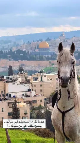 #القدس #عبارات #متابعه_ولايك_واكسبلور_فضلا_ليس_امر 