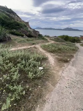 đã xa nhau that roi…