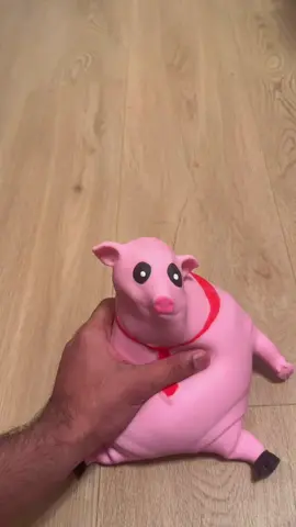 Piggyyyyyy🐽