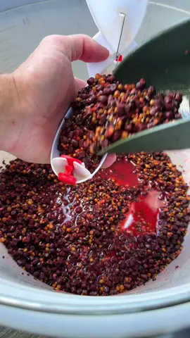 Топовий Spod Mix на літо😍 Легкий пелетс CARP 6 мм . + дрібні зернові MIX 6 , залиті солодким полуничним ліквідом - саме те , що потрібно для короткої літньої сесії ловлі коропа чи амура , або ж для запуску точки ловлі🔥 І рибу на точці така суміш також затримає добре🐟 🎣 Сильний аромат ліквіду  та сигнал від розчинення пелетсу спочатку привабить , а дрібні зернові не дадуть відразу піти з місця закорму. #рибалка #прикормка #риболовля #короп #robin #короповариболовля #карпфішинг 