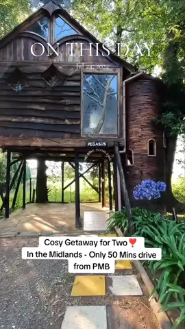 Sycamore Avenue Treehouse 📍 just before Mooi River. FYI this video was shot last year so I'm not sure what is the current price for a stay. #plugchasers #onthisday 