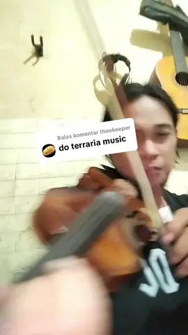 Membalas @thoukeeper #terrariamusic #day #terraria #violin 