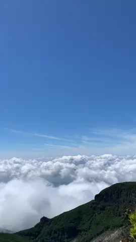 MT. GEDE 23 JULI🏔️🍃 #gununggede2958mdpl⛰️ #gedepangrango #mountain  #viaputrigede 