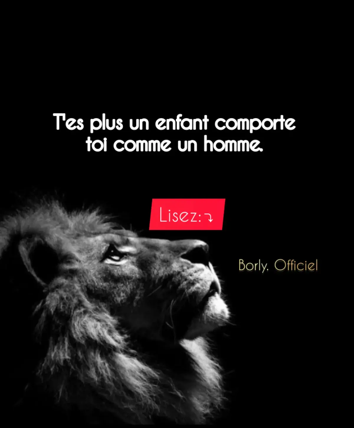 --- 1. Prends tes responsabilités (même quand c’est dur) Un homme ne fuit pas les conséquences de ses choix. Tu n’as pas besoin d’avoir tout, mais assume ce que tu dis, fais, ou échoues. C’est ça la maturité. --- 2. Gère tes émotions, ne les subis pas Pleurer ou être en colère ne fait pas de toi un faible, mais réagir n’importe comment oui. Un vrai homme maîtrise son calme, surtout quand il est blessé. --- 3. Sois indépendant, même avec peu Ne vis pas dans la main des autres. Même avec peu, cherche l’autonomie. Travaille, apprends, économise. Ce que tu construis toi-même te respecte plus que ce qu’on t’offre. --- 4. Respecte les autres, mais impose-toi aussi Être un homme, ce n’est pas dominer les autres, c’est se faire respecter sans écraser. Sois droit, clair, ferme, mais toujours avec dignité. --- 5. Prépare l’avenir, ne vis pas juste pour l’instant Les enfants vivent dans l’instant. Les hommes pensent à demain. Investis ton temps, ton énergie, ton cœur dans ce qui t’élève — pas juste ce qui te divertit. --- Conclusion courte (style punchline) : > Grandir, c’est pas une question d’âge. C’est une question de choix, de courage et de caractère.
