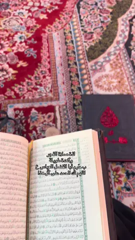 زيارة أبا الفضل العباس عليه السلام  🩶 #مُحرم #كربلاء #الحضرة_الحسينية #الإمام_الحسين #زيارة_الحسين #قرآن #قراءة_قرآن #حب_الحسين #كربلاء_المقدسة #خشوع #روحانية #يا_حسين #سيد_الشهداء #اكسبلور #fyp #تيك_توك_العراق #الحسين_يجمعنا