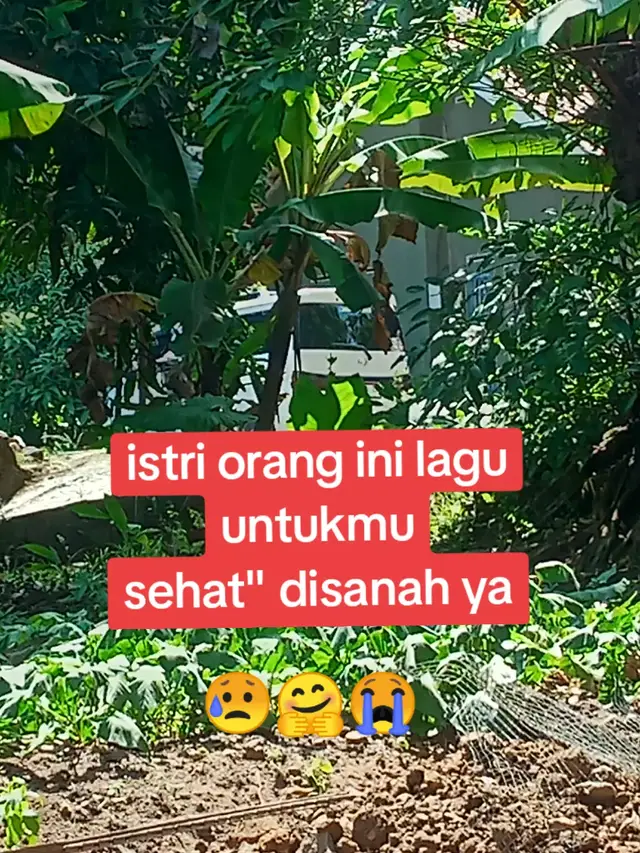 #istriorang 