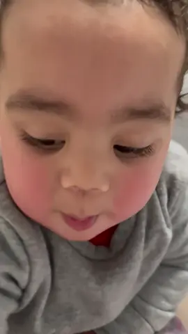 Poor dude begging for boobies 🤣🤣🤣#grandson #fyp #foryou #foryoupage #toddlersoftiktok     