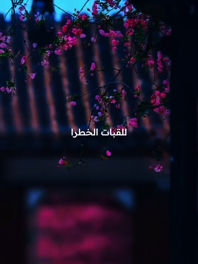 #قلبي_فى_المدينه_وجدالسكينه  ٠٩:٥٥_09:55 #foryoupage❤️❤️ #nasheed 