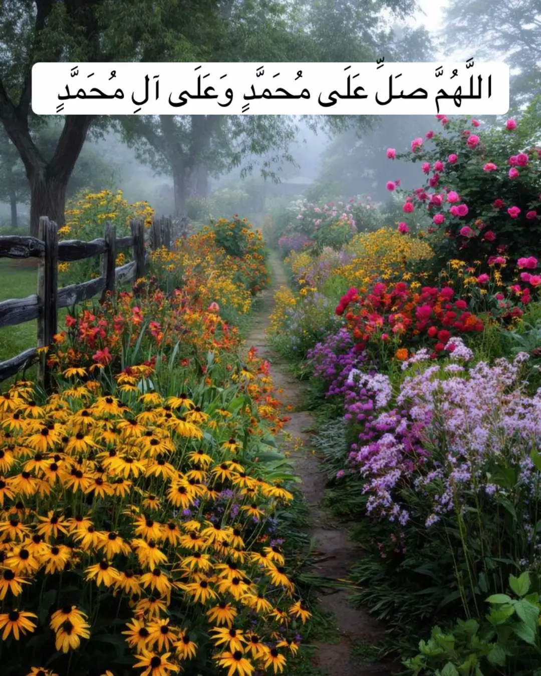 #زکریک_بکه_بؤقيامەت #قورئان_ئارامی_دڵان🕋📿 #قورئانی_پیرۆز🌹 #اللهم_صلي_على_نبينا_محمد 