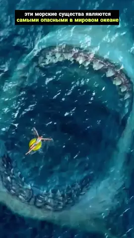 самые опасные существа в море 🩸😱😵😵‍💫