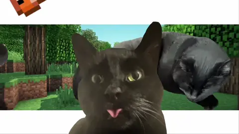 nasty 