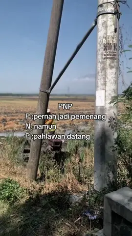 #kphgank #kphsolostyle #beranda #4u #xyzbca 