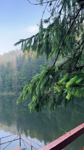 Озеро Синевир особливе зранку🥰😍💚🌲⛰️#озеросиневир #карпати #синевир #східсонця 