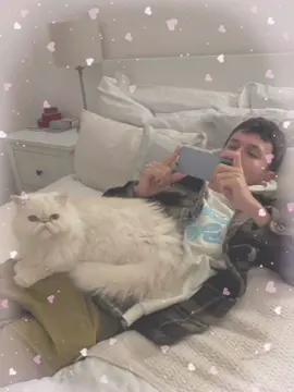 alex w their pets🥹 hope we can see some of their pets in the paddock #alexalbon #alexalbon23 #aa23 #albonpets #williamsf1 #f1 