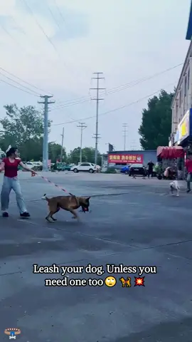 Forgot the Leash or Just Forgot Manners?Don’t take chances—leash your dog#dog #fyp #crazy #pet #offleaddog #dogattack 
