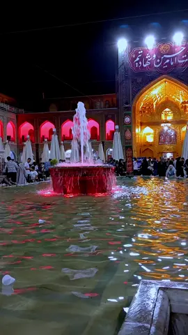 #حرم_امام_رضا_ع #ضامن_الجنہ #کربلا_نجف #پاکستان #عراق #قم #شاہ_خراسان_رضوی #🥺💔🥺🥺💔🤲🏻🤲🏻🤲🏻🥺💔🤲🏻🤲🏻🤲🏻 #fyppppppp #tiktokviral #creatorsearchinsights 