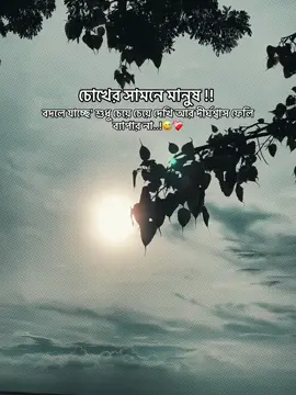 চোখের সামনে মানুষ বদলে যাচ্ছে শুধু চেয়ে চেয়ে দেখি আর দীর্ঘশ্বাস ফেলি ব্যাপার না..! 😅❤️‍🩹 #typ #unfrezzmyaccount #fouryou #foryoupage #1millionaudition #100kviews #bdtiktokofficial🇧🇩 #tiktokofficial @TikTok @TikTok Bangladesh @For You @everyone 