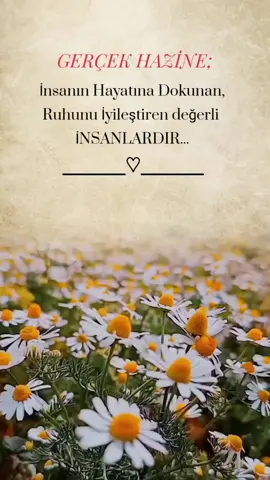 Günaydın musmutlu vakitler sizlerle olsun 🤲☕🌼🤗 #kesfetimiaçtiktok #fypviralシviral #keşfet #keşfetteyizzz ##CapCut 